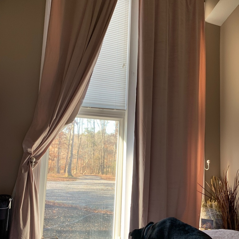 Rare! Extra-Long Velvet Curtains – Set of 2 – Blush Pink – 52” x 122”